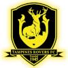 淡滨尼流浪者logo