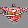 水原音速弹logo